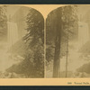 Vernal Falls, 630 feet. Cal.