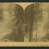 Vernal Falls, 630 feet. Cal.