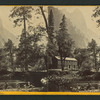 Yosemite Valley, California. [View of the lake and house.]