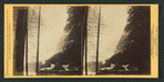 Pi-wy-ack (Cataract of Diamonds), Vernal, 350 feet Fall, Yosemite Valley, California.