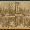 Reflection of Cathedral Rocks in the Merced.
