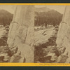 Ancient Glacier Groves at Lake Tenaya.