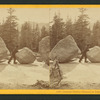 Ancient Glacier Channel at Lake Tenaya.