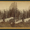 From the base of the Third Fall of the Yosemite.