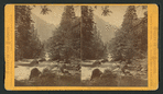 Yosemite Studies.