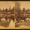 Mirror Lake, Yosemite, Cal.
