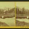Mt. Lyell, Yosemite, Cal.