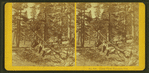 Camp view, Yosemite, Cal.