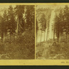 Yo-Semite Falls, Cal.