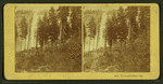 Yo-Semite Falls, Cal.
