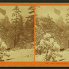 Snow storm in June, Yo-Semite, Cal.
