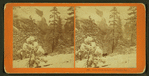 Snow storm in June, Yo-Semite, Cal.