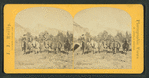 Tourists on horseback.