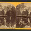 Mirror View of the Yo Semite Falls, Yo Semite Valley, Cal.