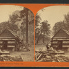 La Mons Cabin, Yosemite Valley, Cal.