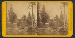 Huching's Hotel and Sentinel Rock, Yo Semite Valley.