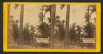 Lamon's [Samon's]Cabin, and North Dome, 3725 feet high, Yo Semite Valley.