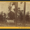 Lamon's [Samon's] Cabin, and North Dome, 3725 feet high, Yo Semite Valley.