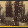 Sentinel House, Yo Semite Valley.