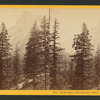 South Dome, (6000 feet above Valley) from Glacier Cascade.