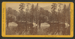 Views on Mirror Lake.