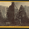 El Capitan,(3,100 ft. above Valley), from Bridal Veil Fall.