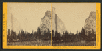 View up the Valley, from the foot of Mariposa Trail. Yosemite Valley, Mariposa County, Cal.