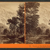 Tacoye, or the North Dome, 3730 feet. View from Hutchings, Yosemite Valley, Mariposa Co.