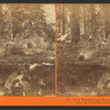 Lady Franklin and Party on Moss Rock, below the Vernal Fall, Yosemite Valley, Mariposa Co.