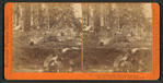 Lady Franklin and Party on Moss Rock, below the Vernal Fall, Yosemite Valley, Mariposa Co.