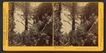 The Ladders, Yosemite Valley, Mariposa County, Cal.