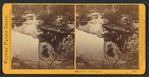 Mirror View of El Capitan, Yosemite Valley, Mariposa County, Cal.