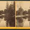 The foot of the Three Brothers. Yosemite Valley, Mariposa County, Cal.