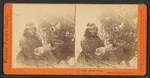 Indian Camp, Yosemite Valley, Mariposa Co.