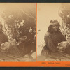 Indian Camp, Yosemite Valley, Mariposa Co.