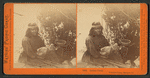 Indian Camp, Yosemite Valley, Mariposa Co.