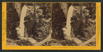 Piwyac, or the Vernal Fall, 300 feet from the cliff, Yosemite Valley, Mariposa County, Cal.