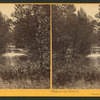 View on the Merced, Yosemite Valley, Mariposa County, Cal.