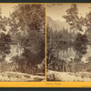 Mirror View, Yosemite Valley, Mariposa County, Cal.
