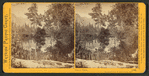Mirror View, Yosemite Valley, Mariposa County, Cal.