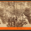 Mirror View, Yosemite Valley, Mariposa County, Cal.