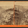 The first view of the Yosemite Valley, from the Mariposa Trail, Yosemite Valley, Mariposa County, Cal.