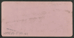 At the Cliff House, Seal Rocks, San Francisco. [The Yosemite Valley, from the Mariposa Trail, Yosemite Valley, Mariposa County, Cal.?]