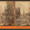 View on the Merced, Yosemite Valley.