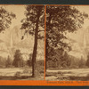 Yosemite Falls, 2634 ft.,View from Camp Grove, Yosemite Valley, Mariposa County, Cal.