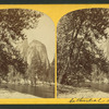 Cathedral Rocks B.