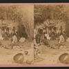 View of a group of Mohaves in a brush hut, one man very emaciated