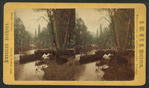 Looking up the Merced River, Yos. Val. Cal.