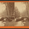 Looking up the Merced River, Yosemite Valley, Cal.