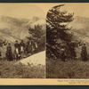 Eagle Peak Trail, Yosemite Valley, California, U.S.A.
